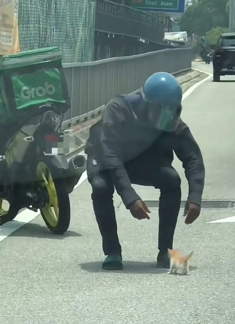 M'sian Grab Rider Who Saved Kitten From Busy Road Gets Rewarded For His Kindness