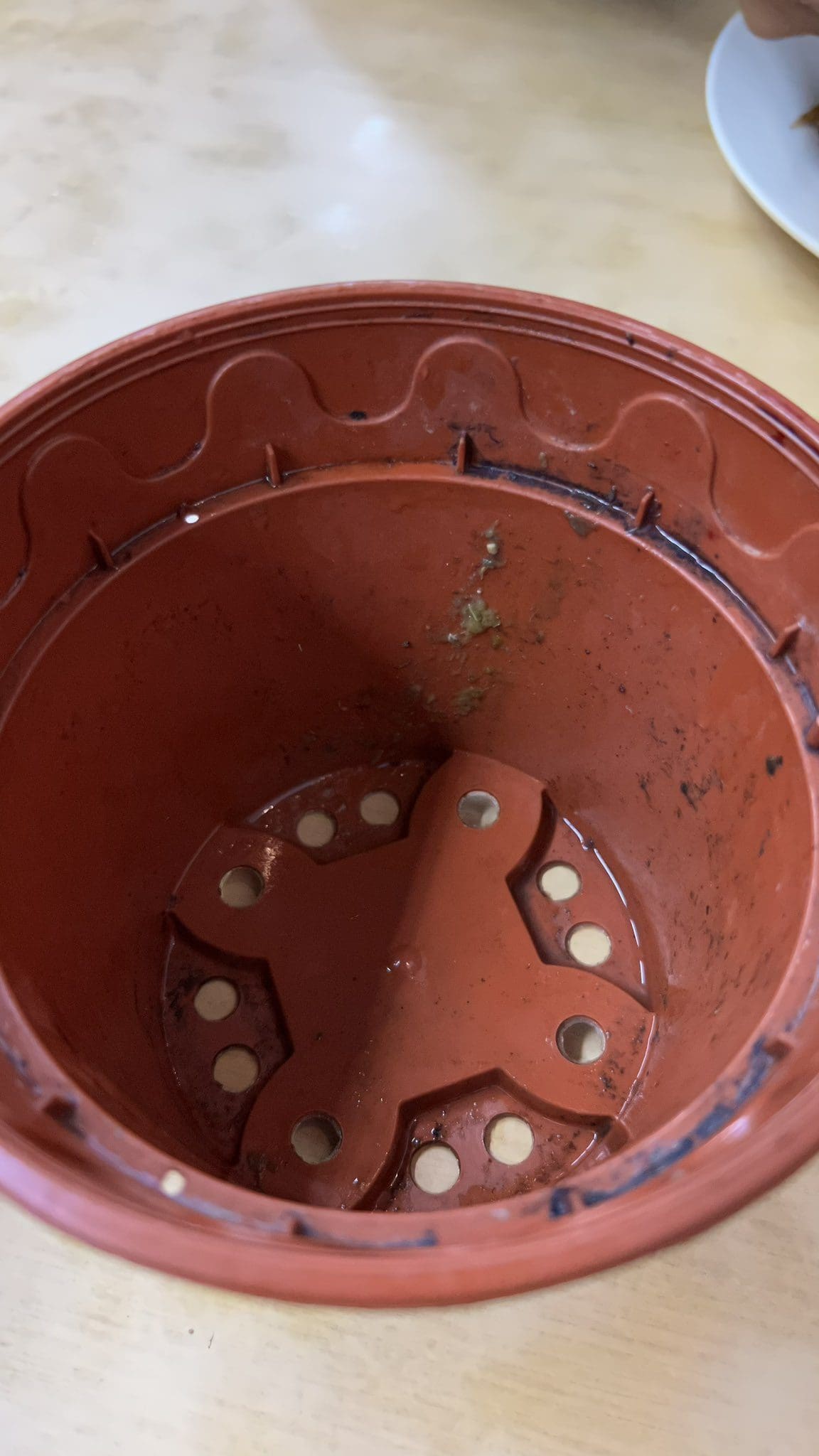 M'sian Eatery Serves Drink In Dirty Flower Pot, Gets Bashed For Lack Of Hygiene