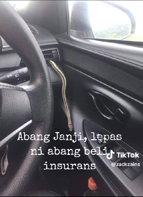 Snake slithers out of m'sian's car aircon vent and gives him the shock of his life | weirdkaya