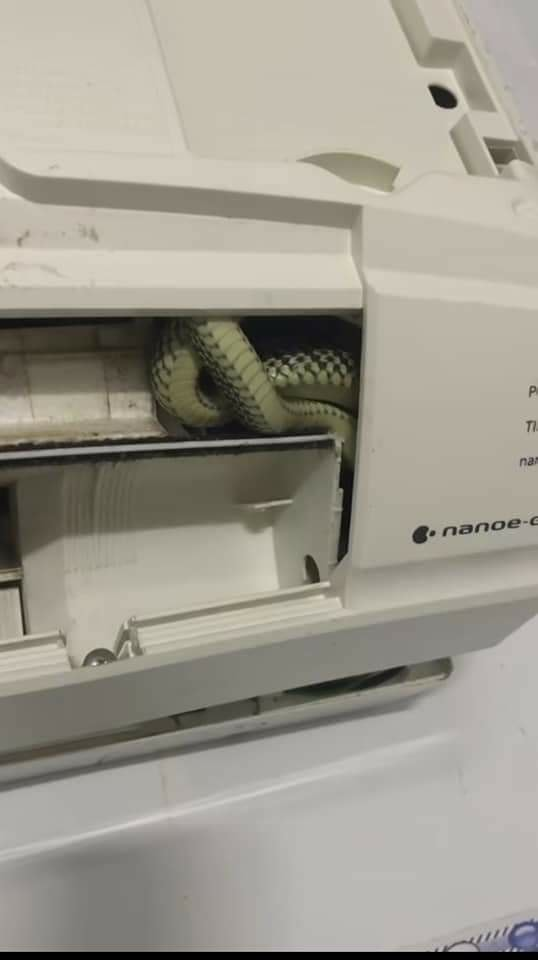 Snake found hiding inside air conditioner at johor home to escape the heat