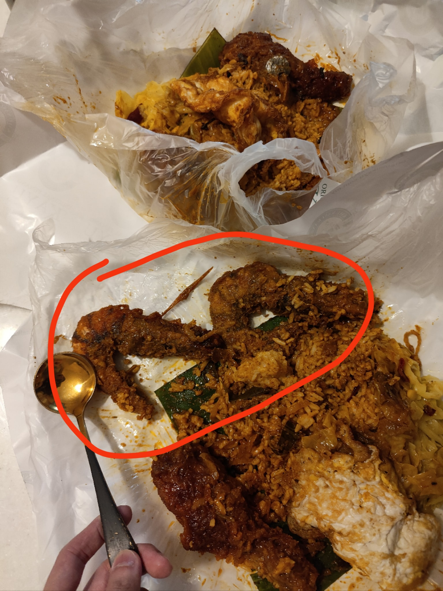 M'sian forks out rm89 for 2 plates of nasi kandar at famed pj mamak, spent rm40 on 2 prawns alone