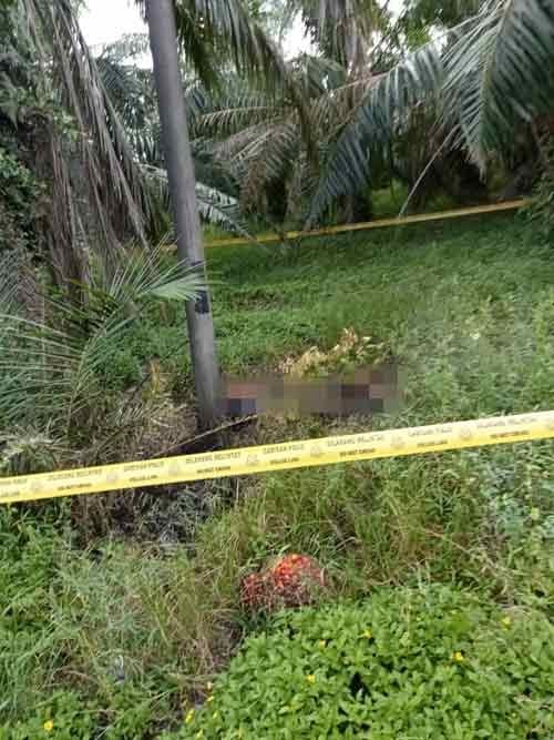 M'sian Woman Whose Charred Body Was Abandoned At Palm Oil Plantation Stabbed By Boyfriend Over Pregnancy
