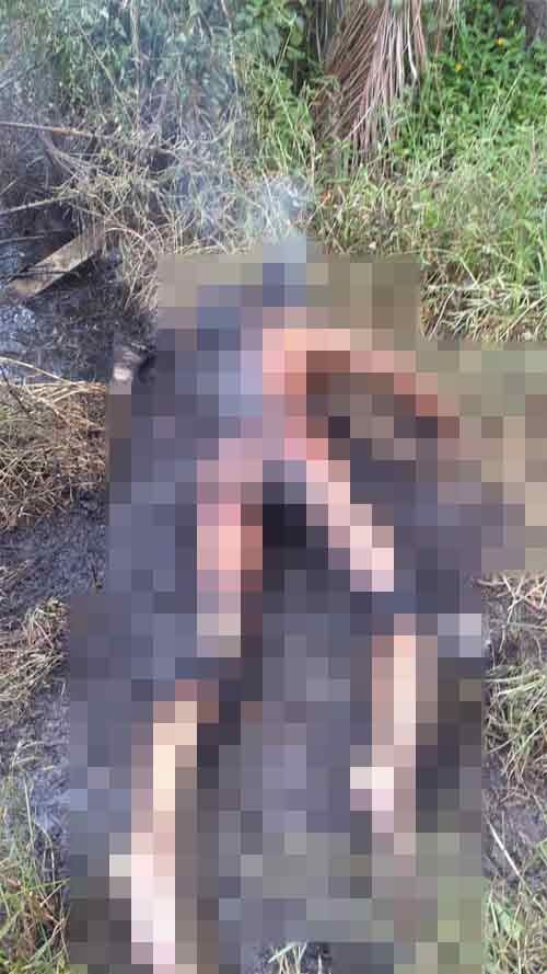 M'sian Woman Whose Charred Body Was Abandoned At Palm Oil Plantation Stabbed By Boyfriend Over Pregnancy