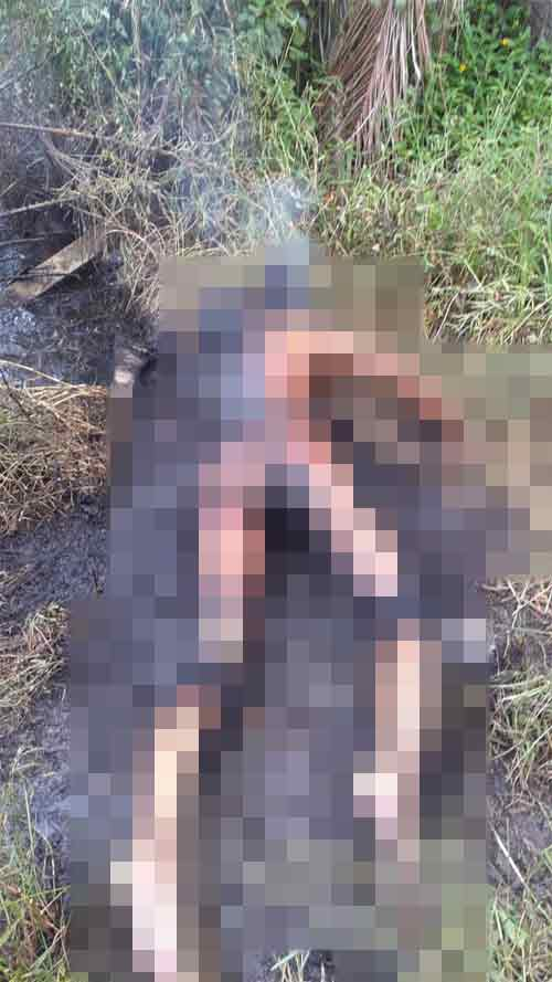 M'sian woman whose charred body was abandoned at palm oil plantation stabbed by boyfriend over pregnancy