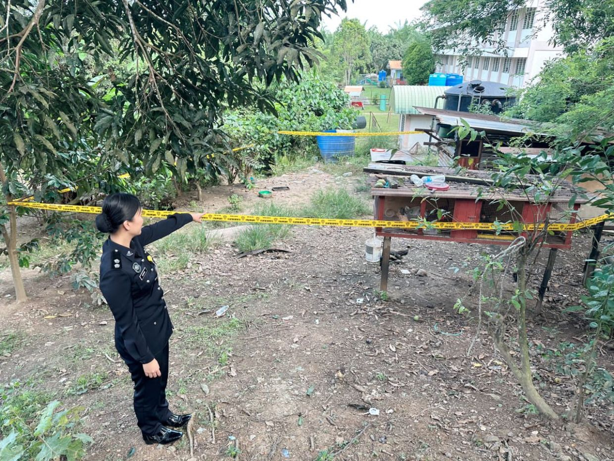 Police officer guarding the suspected area of newborn baby found abandoned on top of chicken coop.