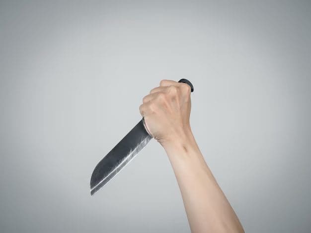 Man Pulls Knife On Landlord And Strangles Her Over Slow Wi-Fi Speed, Jailed For 5 Months