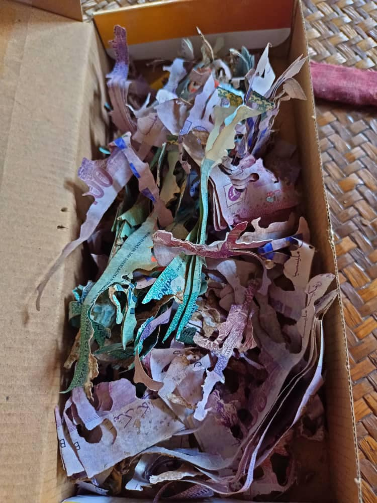 M'sian woman loses rm30,000 cash savings she kept inside box after termites devour it | weirdkaya