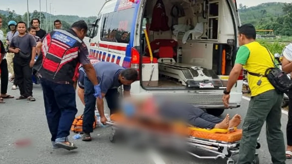 14yo m'sian student dies after crashing into a cow that was crossing the road