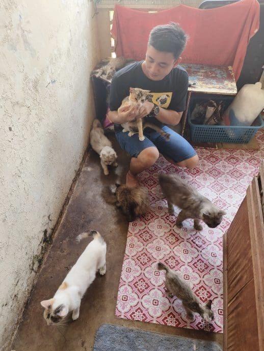 M'sian Man Takes Care Of Dog And Her 6 Puppies After Their Owner Passes Away