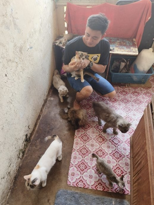 M'sian man takes care of dog and her 6 puppies after their owner passes away