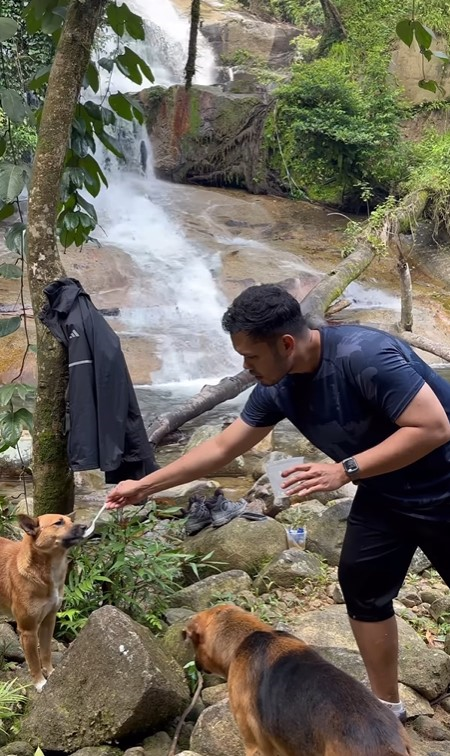 Khairul aming praised for feeding stray dogs who accompanied him on hiking trip