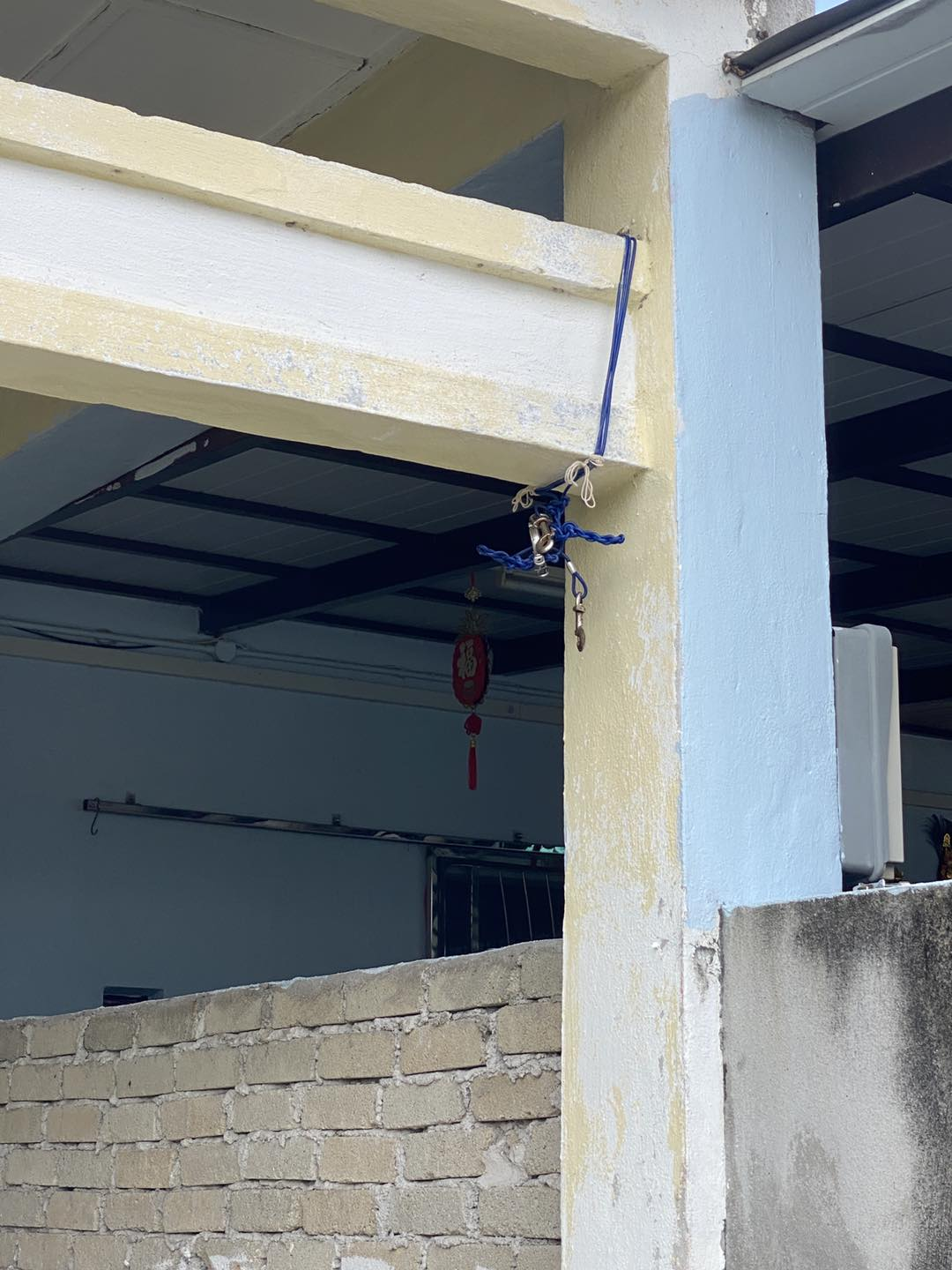 Rottweiler found hanging from a leash in penang, owner claims it was an accident