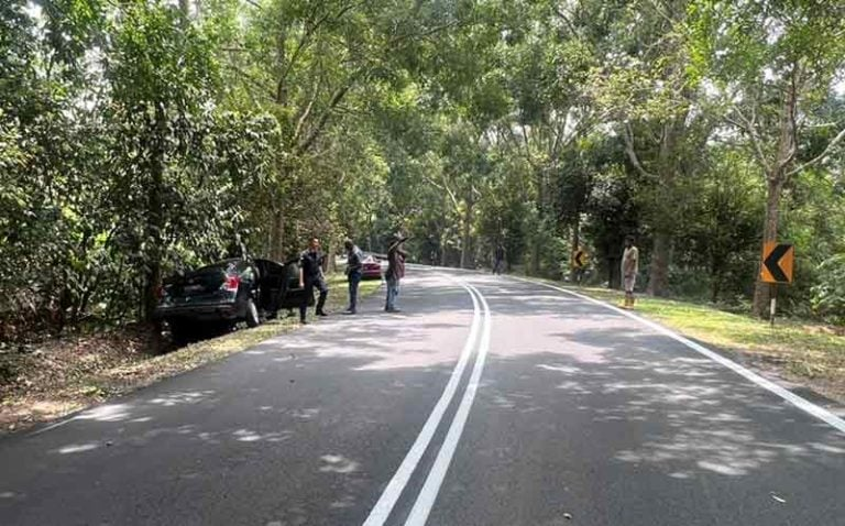 75yo m'sian man killed after crashing car into tree following suspected heart attack