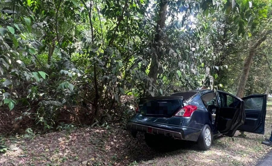 75yo M'sian Man Killed After Crashing Car Into Tree Following Suspected Heart Attack