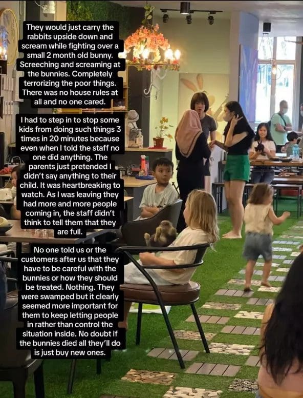 Msian complains about the mistreatment of animals at a pet-friendly cafe