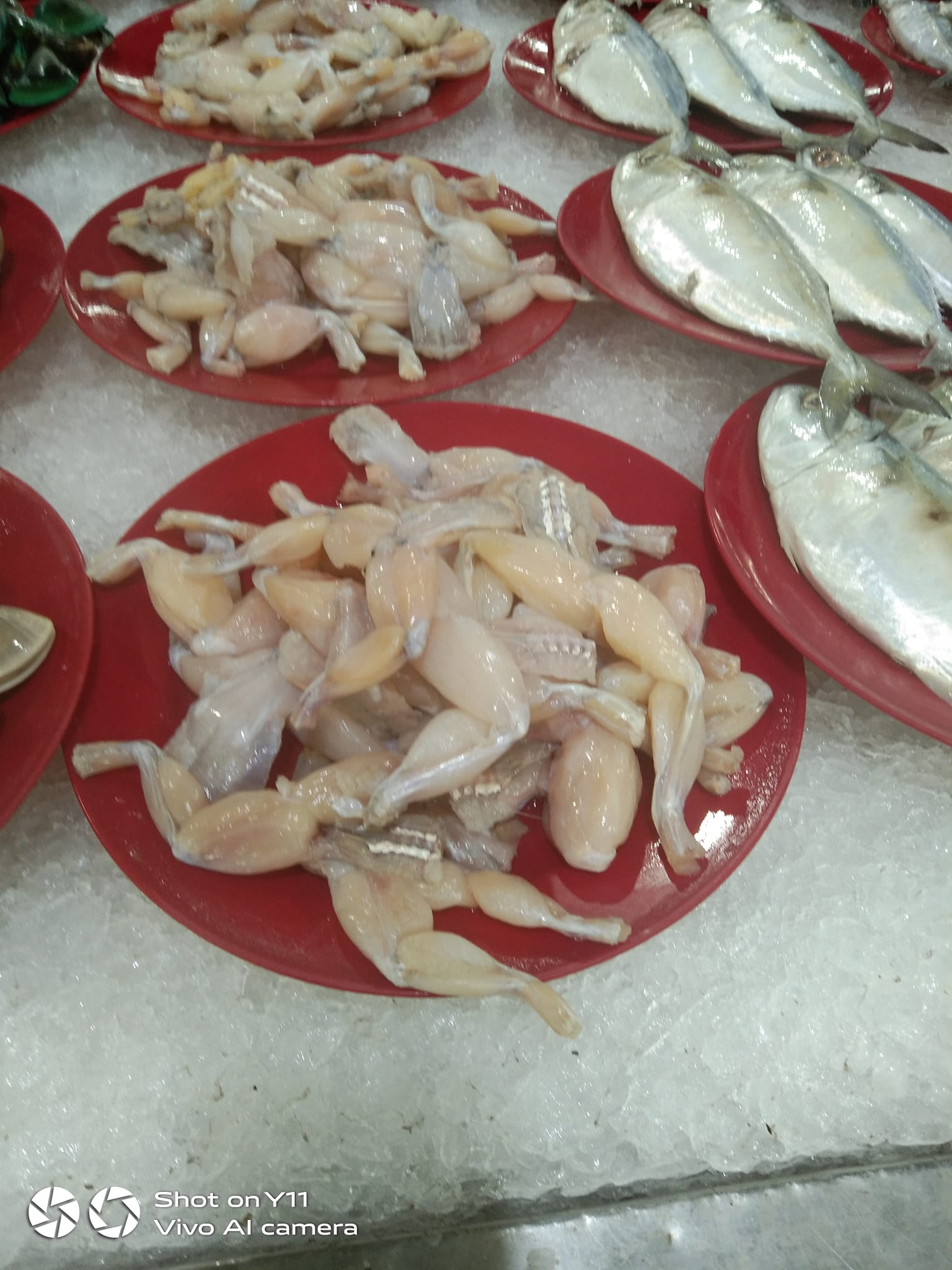 Frog meat that was found was placed in the same area as the fish at nsk selayang.