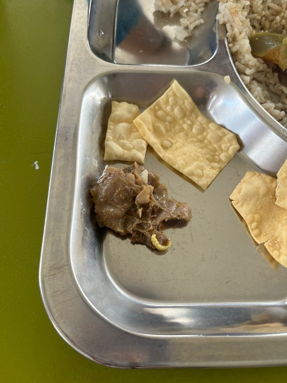 Maggots on a piece of meat