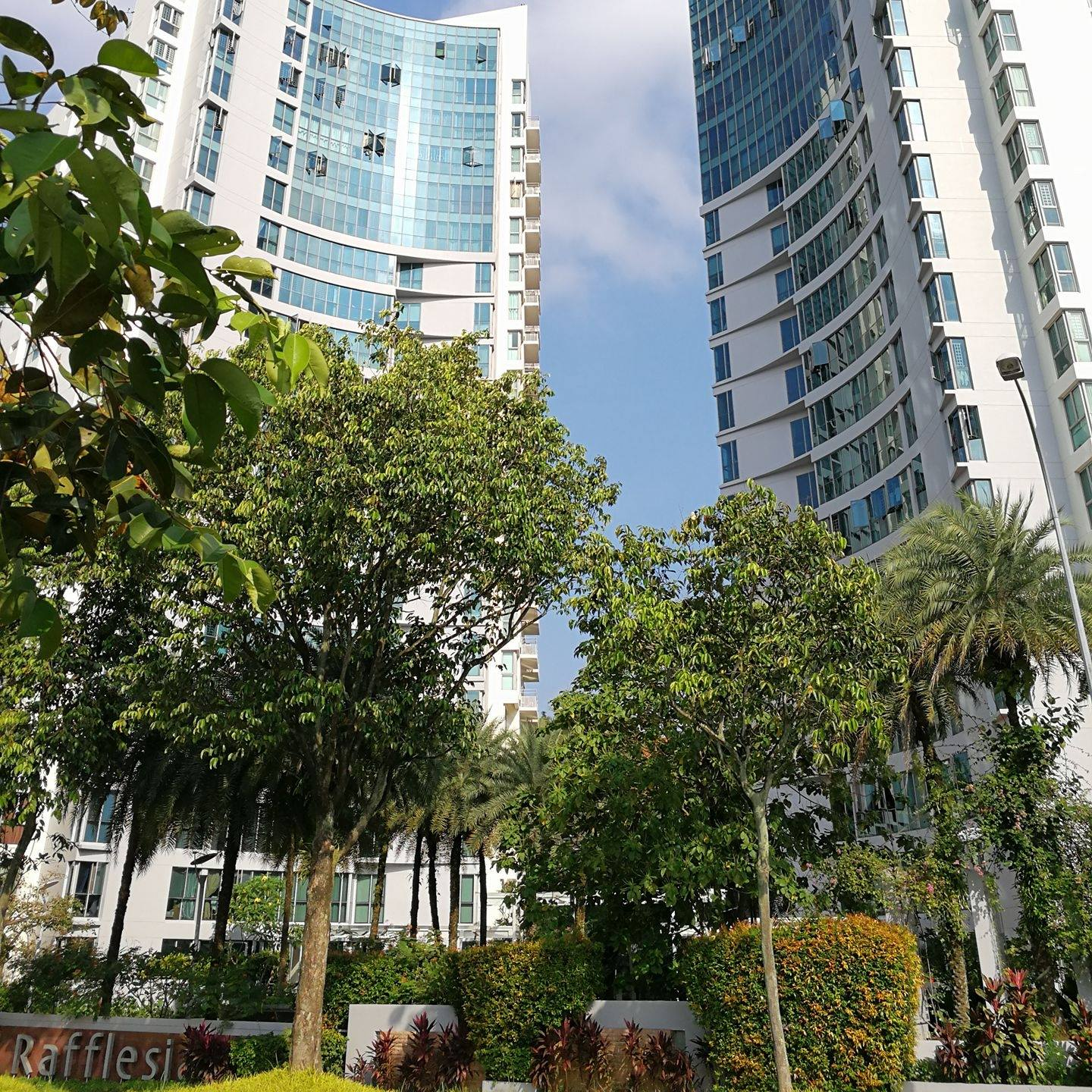 Rafflesia condominium in bishan, singapore