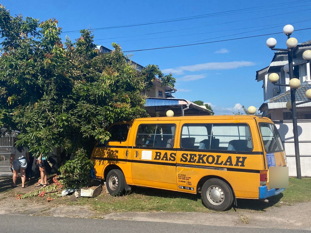 School bus driven by 72yo zhang rongqing crashes into tree