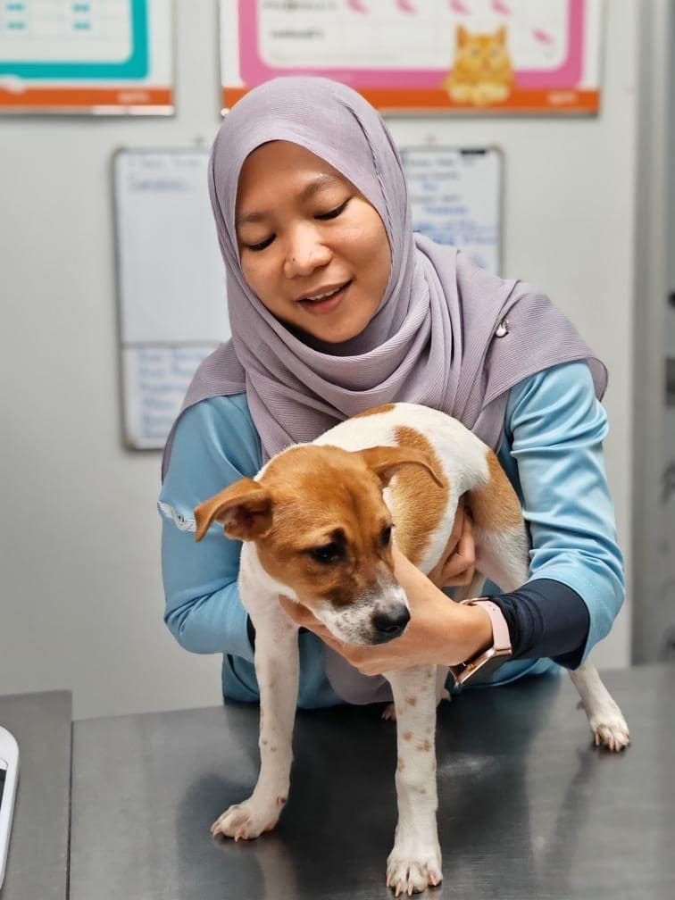 Dr Salehatul Khuzaimah examining a puppy