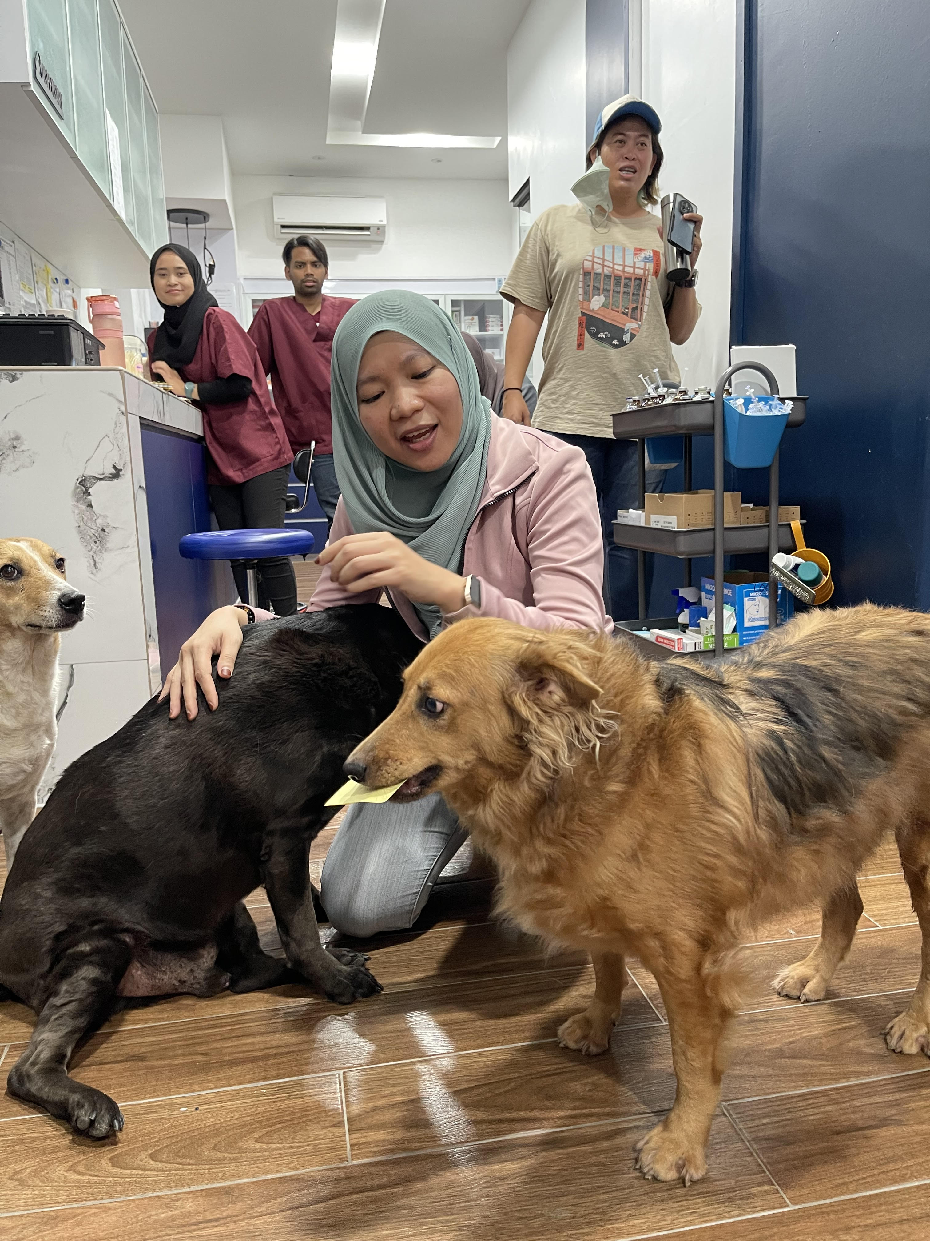 Dr salehatul khuzaimah petting dogs at the vet clinic