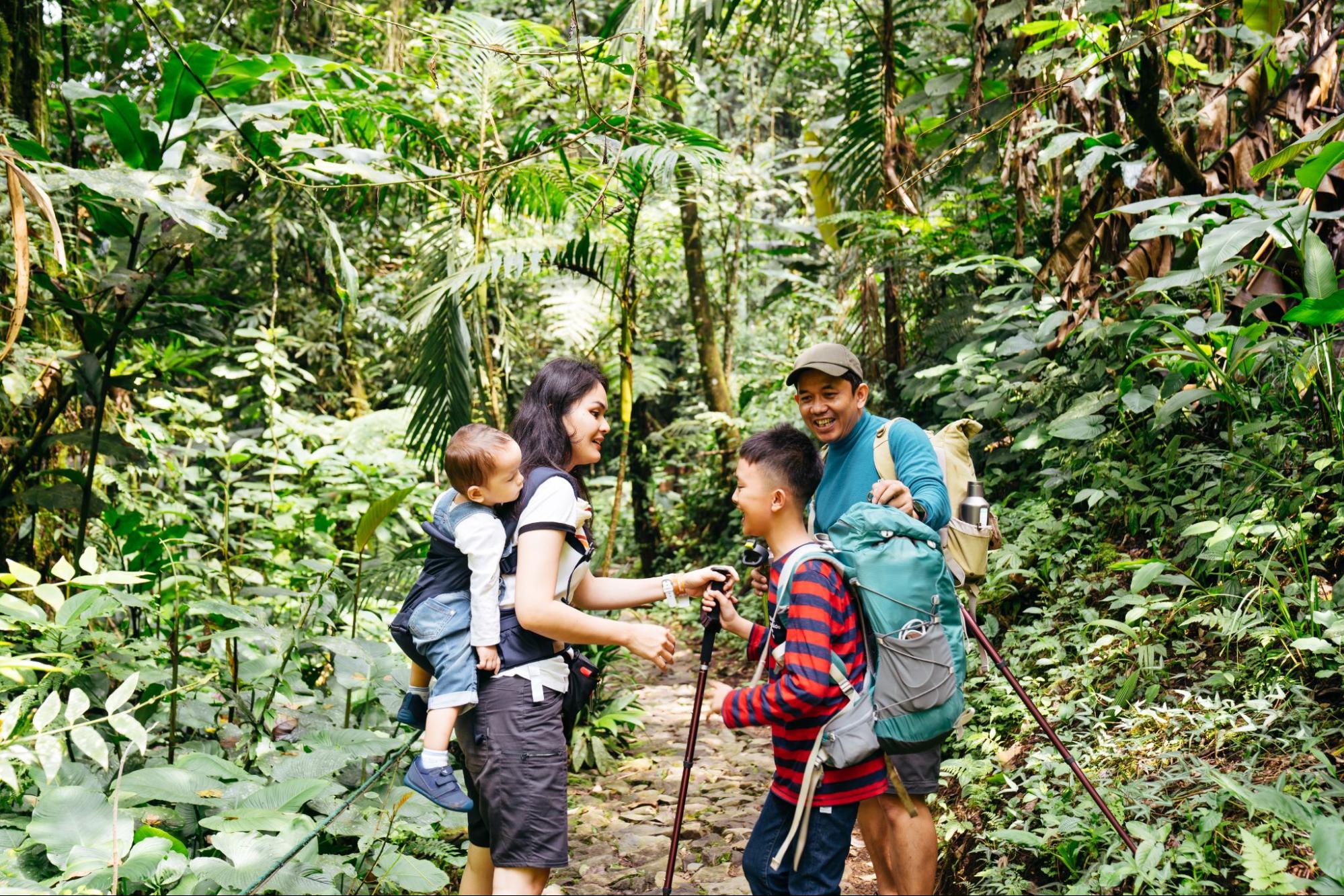 Hiking - greenwood senna