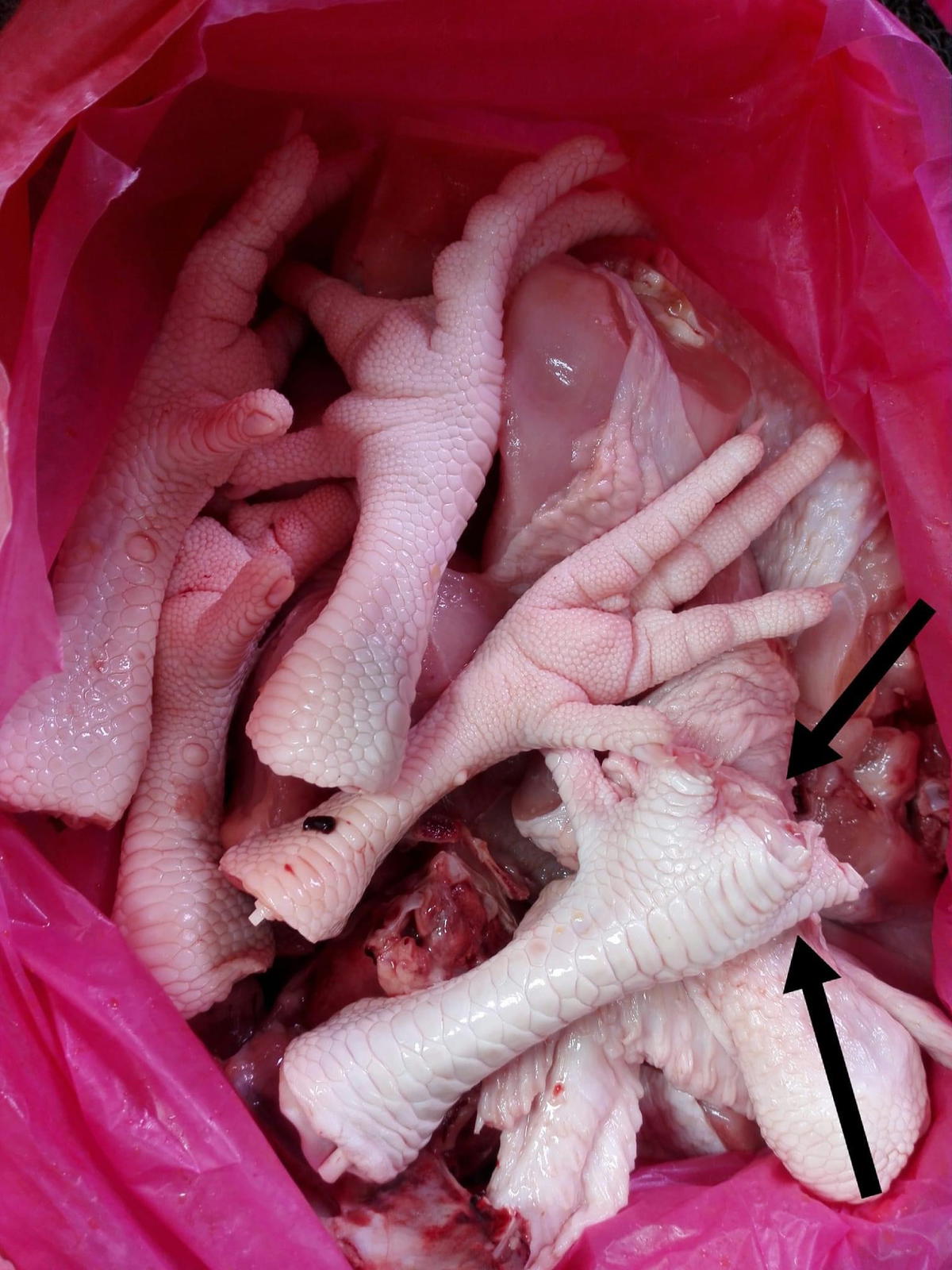 One of the chicken feet with missing fingers