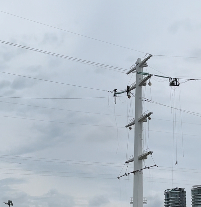 M'sians concerned for workers' safety amid monopole construction on penang bridge