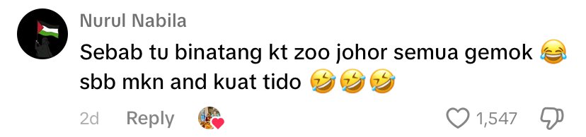 Netizen comment