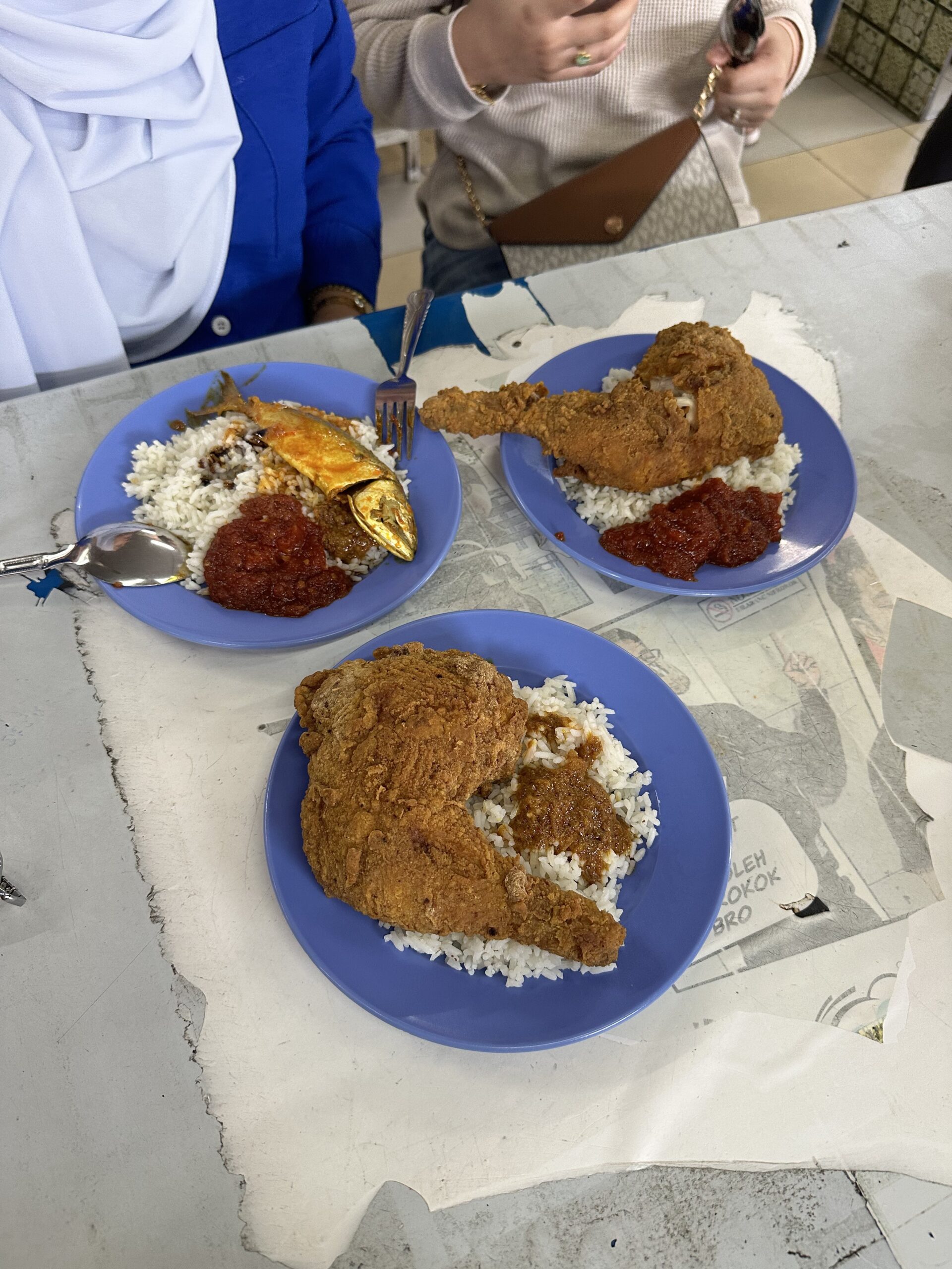 3 meals in perlis cost rm15 : 2 huge chickens with 1 fried fish along with rice and sambal.