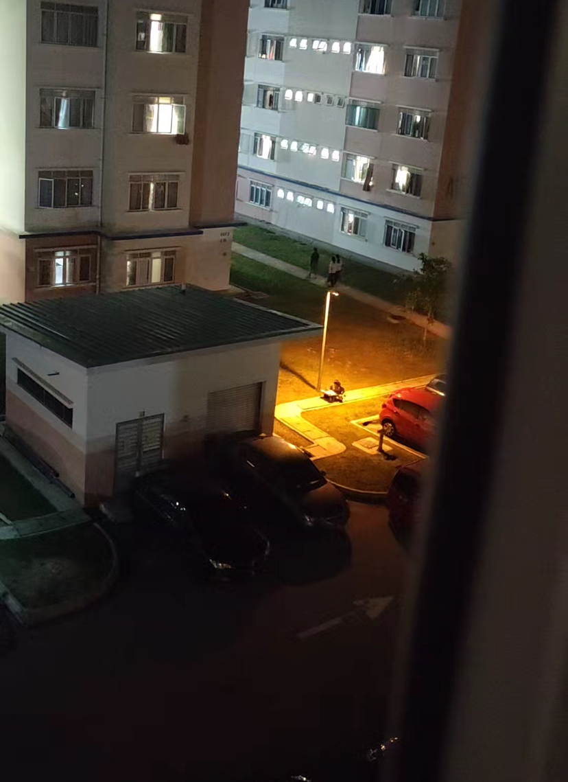 Female student studies under a huge lamp at college during night time