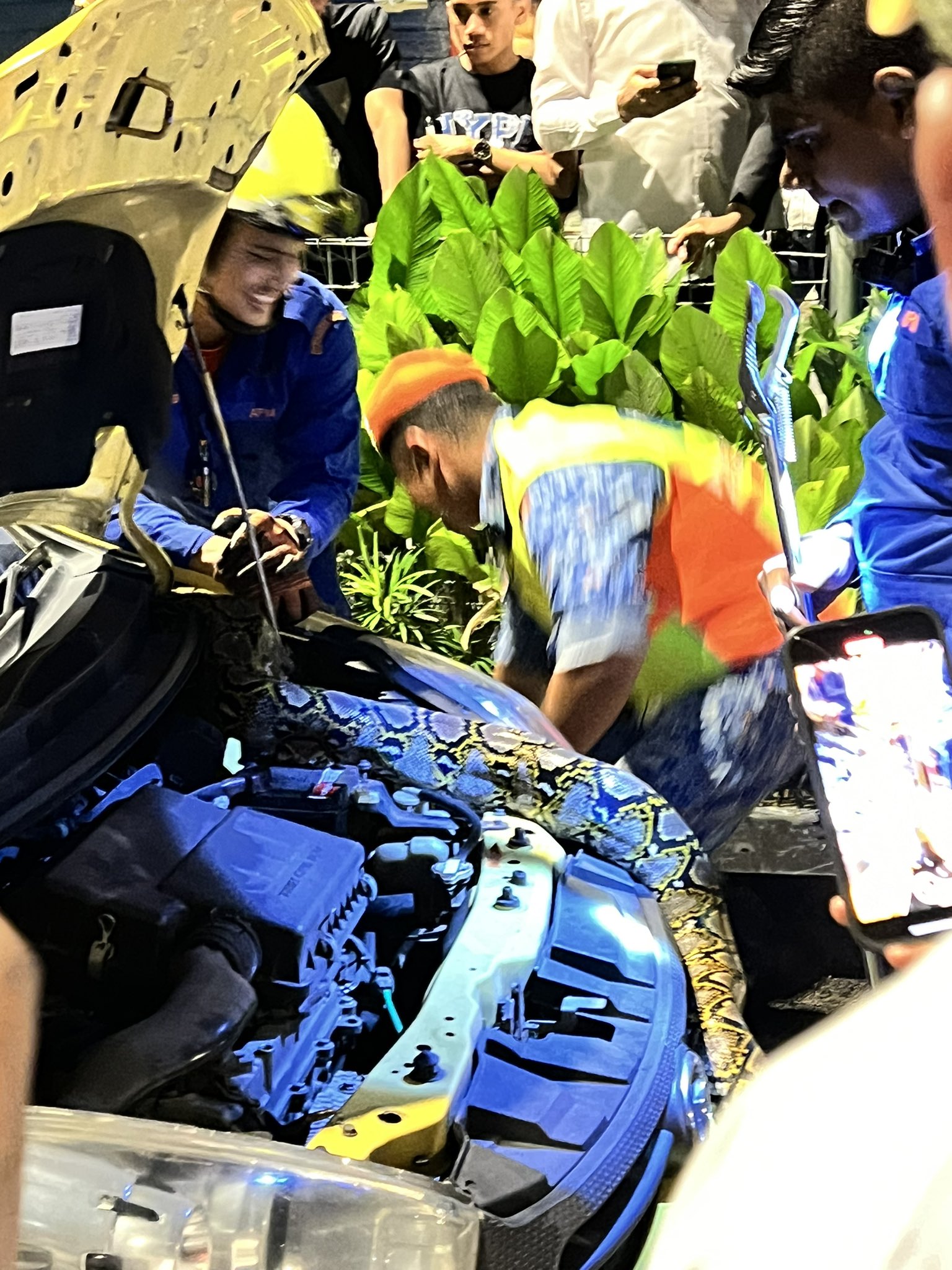 Snake inside myvi's engine at jalan doaraisamy