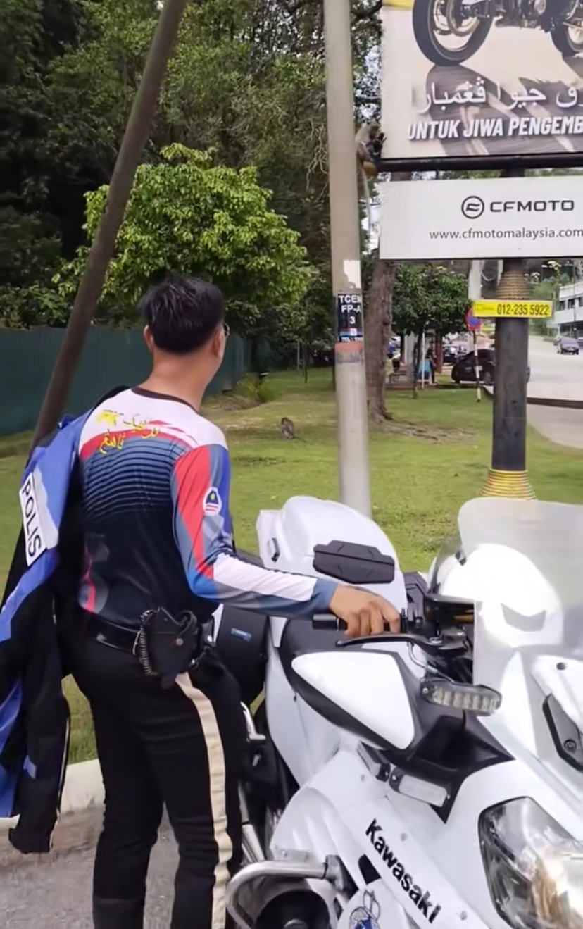 Pdrm officer steps out of his bike to look at the monkey that stole his glove