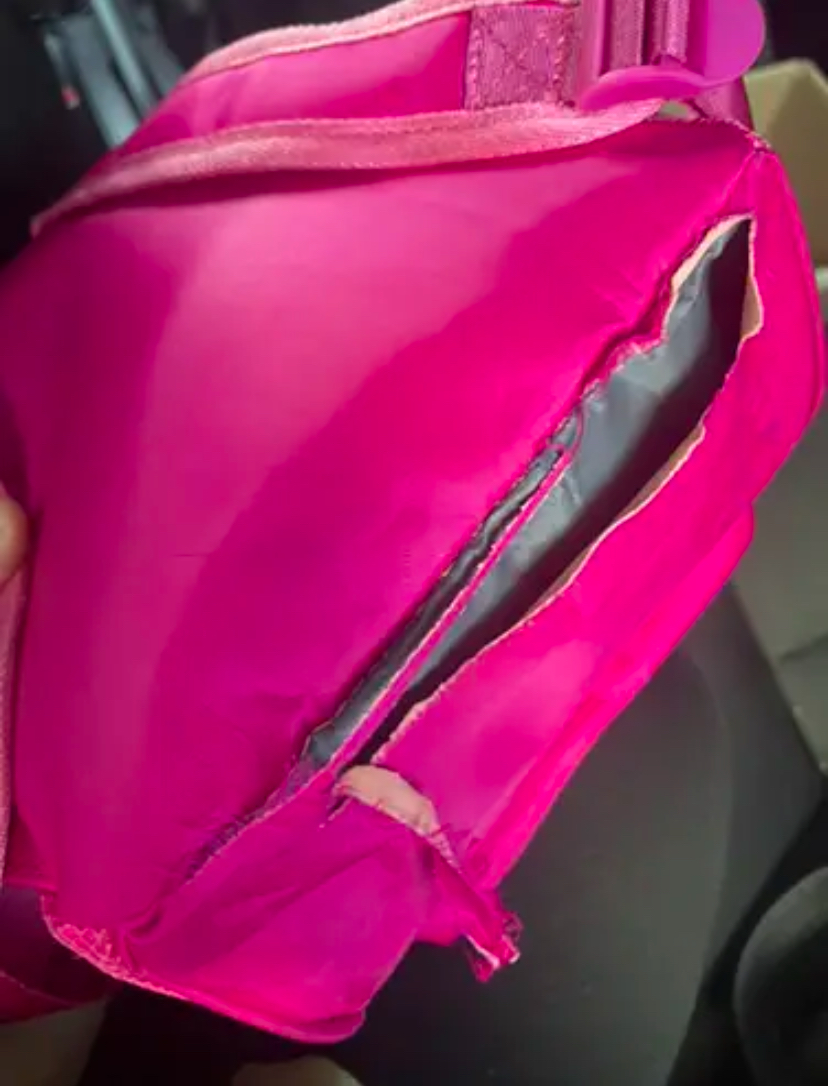 M'sian woman's pink bag torn by monkey