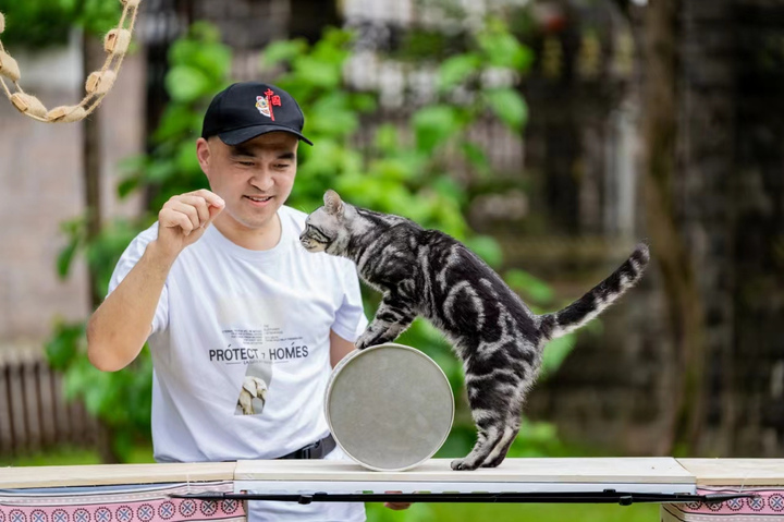 Li jiangtao, the cat owner of bao zi