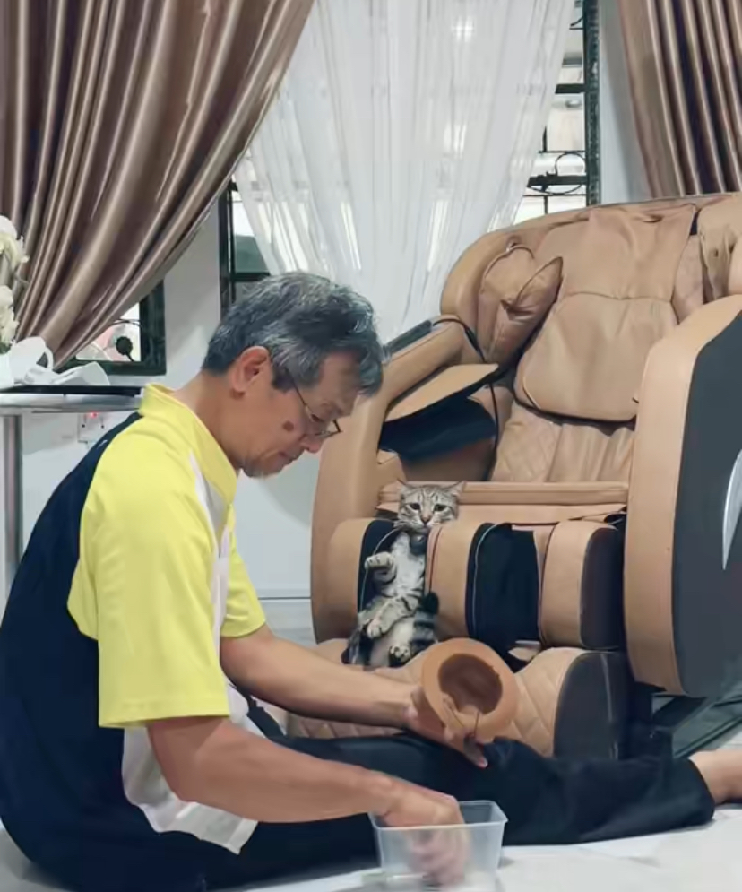 Amusing clip shows m'sian man dressing up his cat like he's a photoshoot model | weirdkaya
