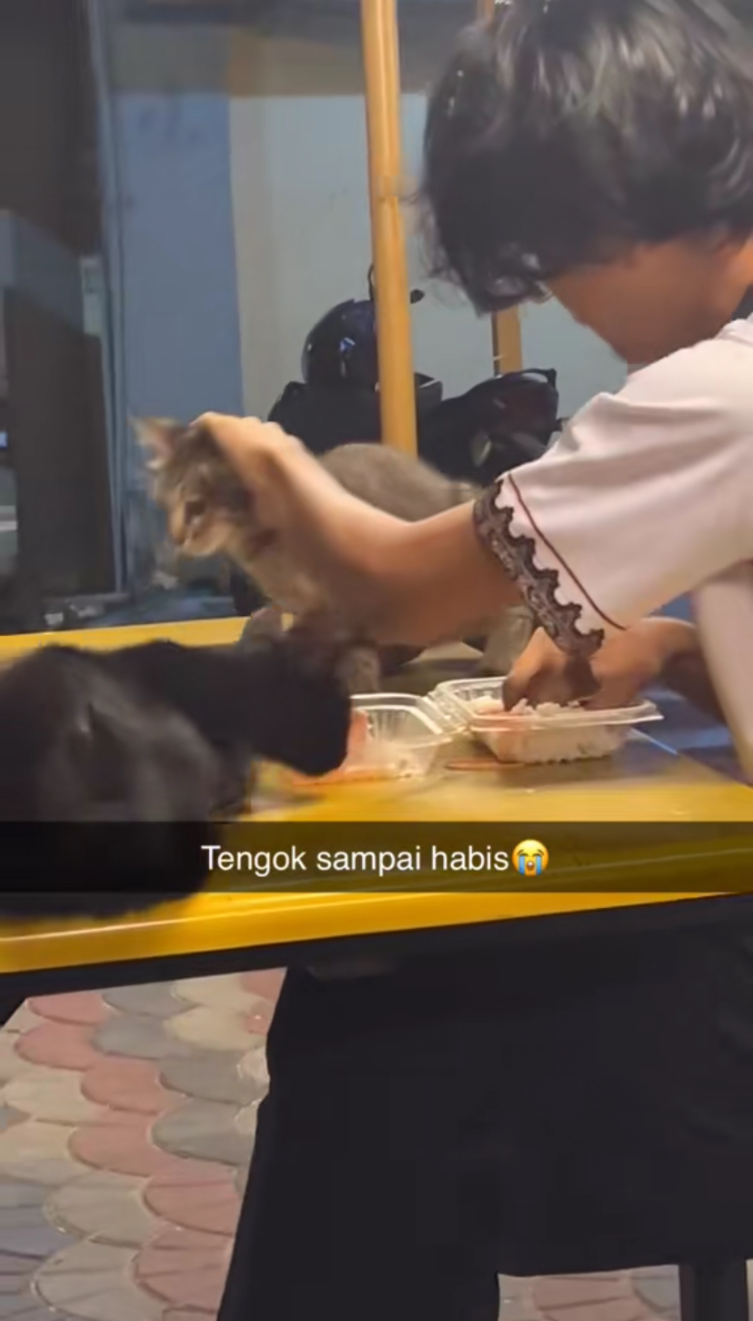 M'sian student having a meal accompanied by 2 cats