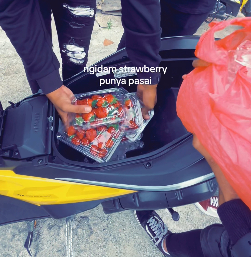 M'sians put strawberries inside motorbike compartment with ice cubes