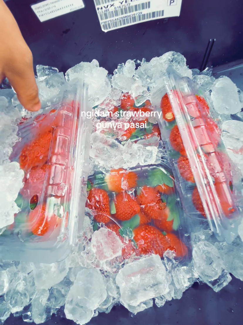 M'sians put strawberries inside motorbike compartment with ice cubes