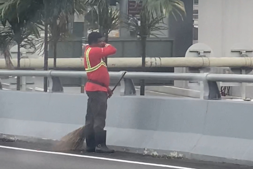 Street cleaner grabs white cat