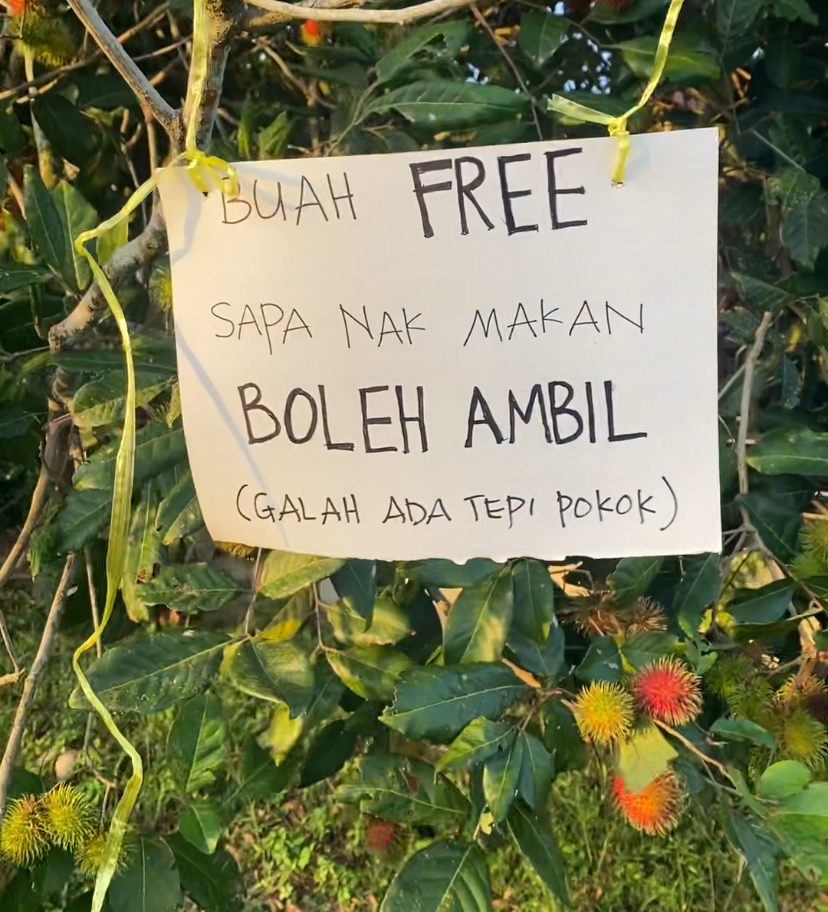 Free rambutan sign at gombak roadside - july 2024