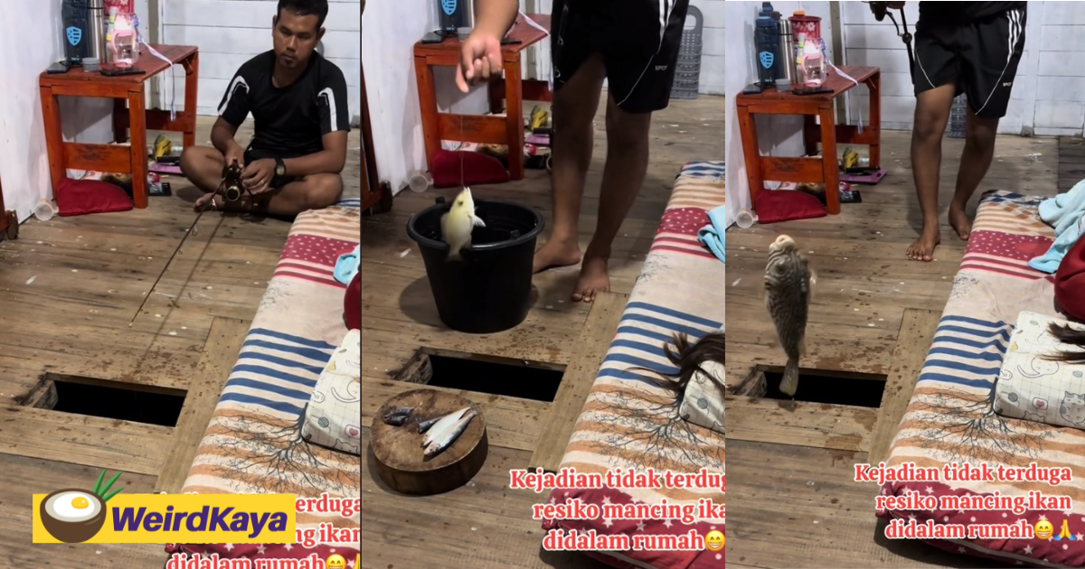 Indonesian impresses netizens by fishing in his house through the floor, catching massive exotic fish | weirdkaya