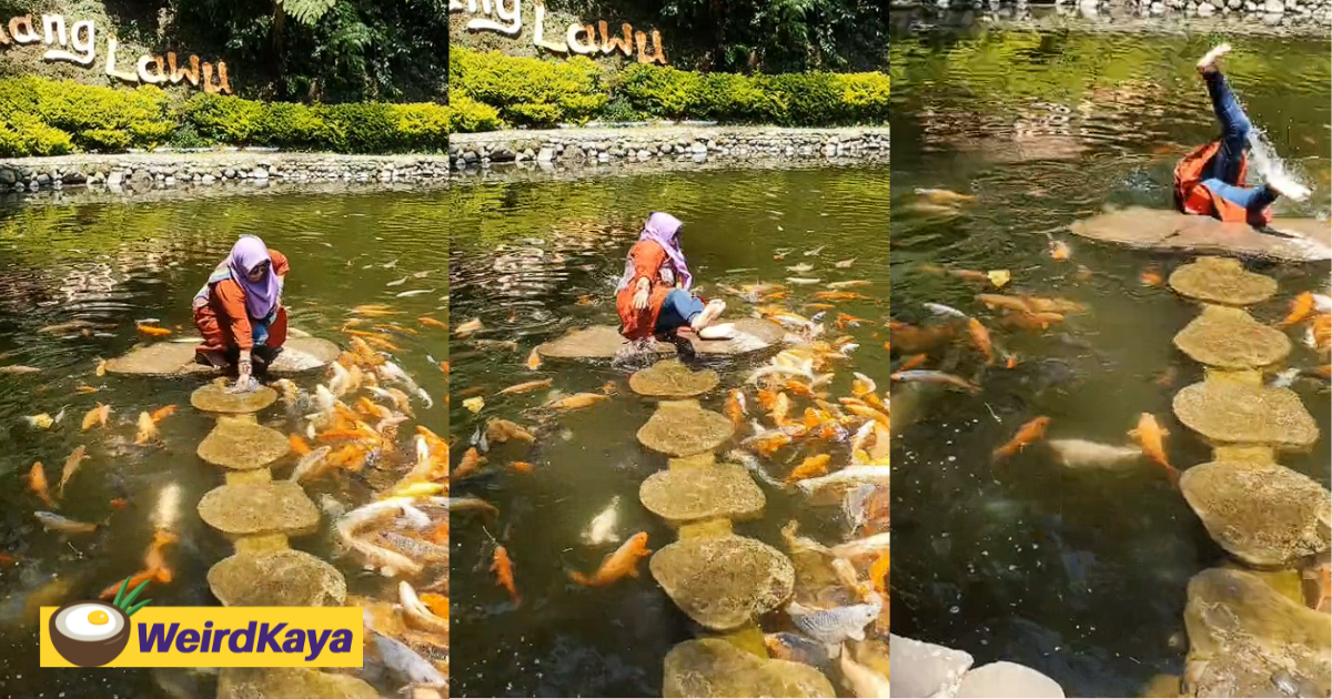 Indonesian woman hilariously tumbles into carp pond after she loses her balance | weirdkaya