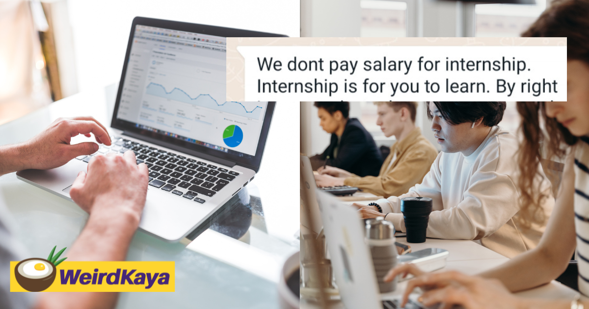 'interns should pay the company for teaching them' claims m'sian company | weirdkaya