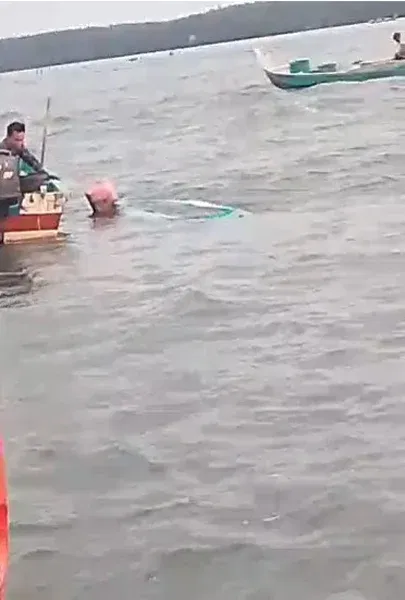 ipg kayaking incident