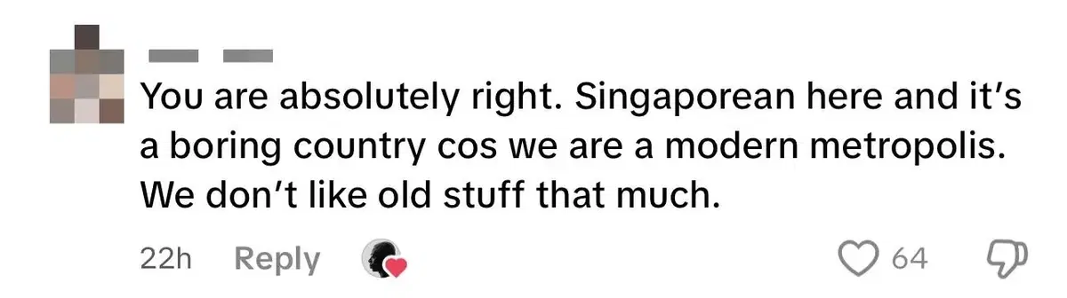 It Has No Personality Angmoh Woman Says She Will Never Visit SG Again Due To Lack Of History comment 1
