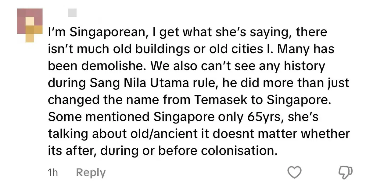 It Has No Personality Angmoh Woman Says She Will Never Visit SG Again Due To Lack Of History comment 2