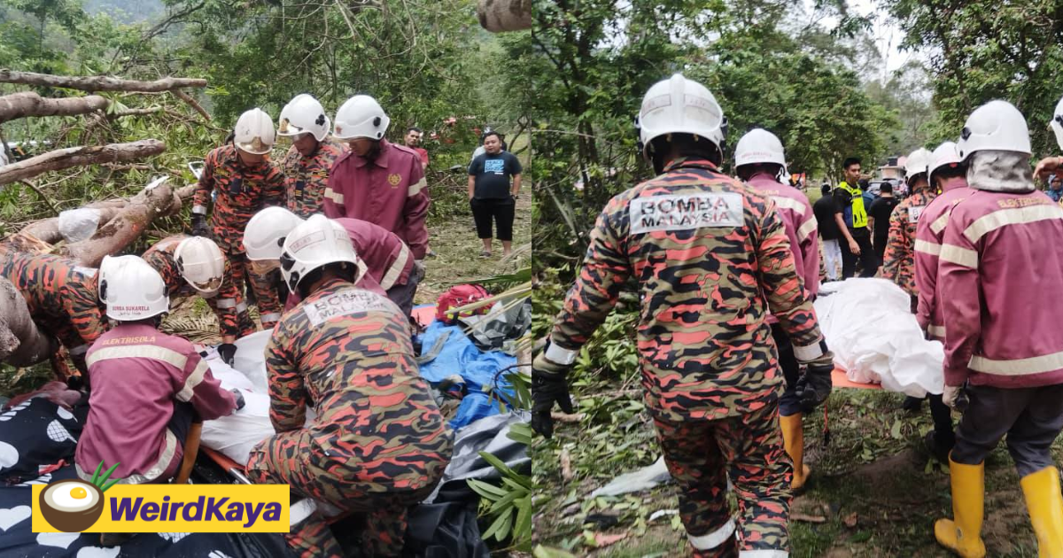 M'sian Woman Crushed By Falling Tree While Out Camping In Janda Baik