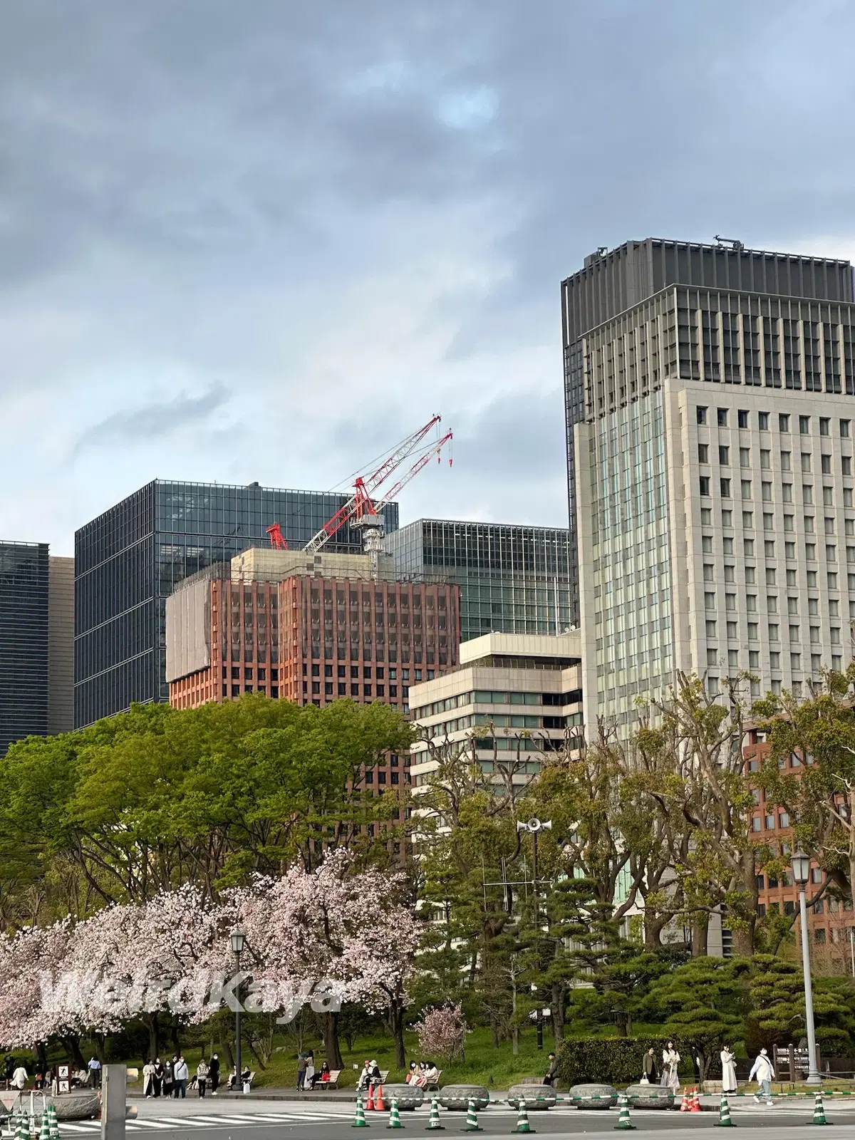 Japan Building (1)
