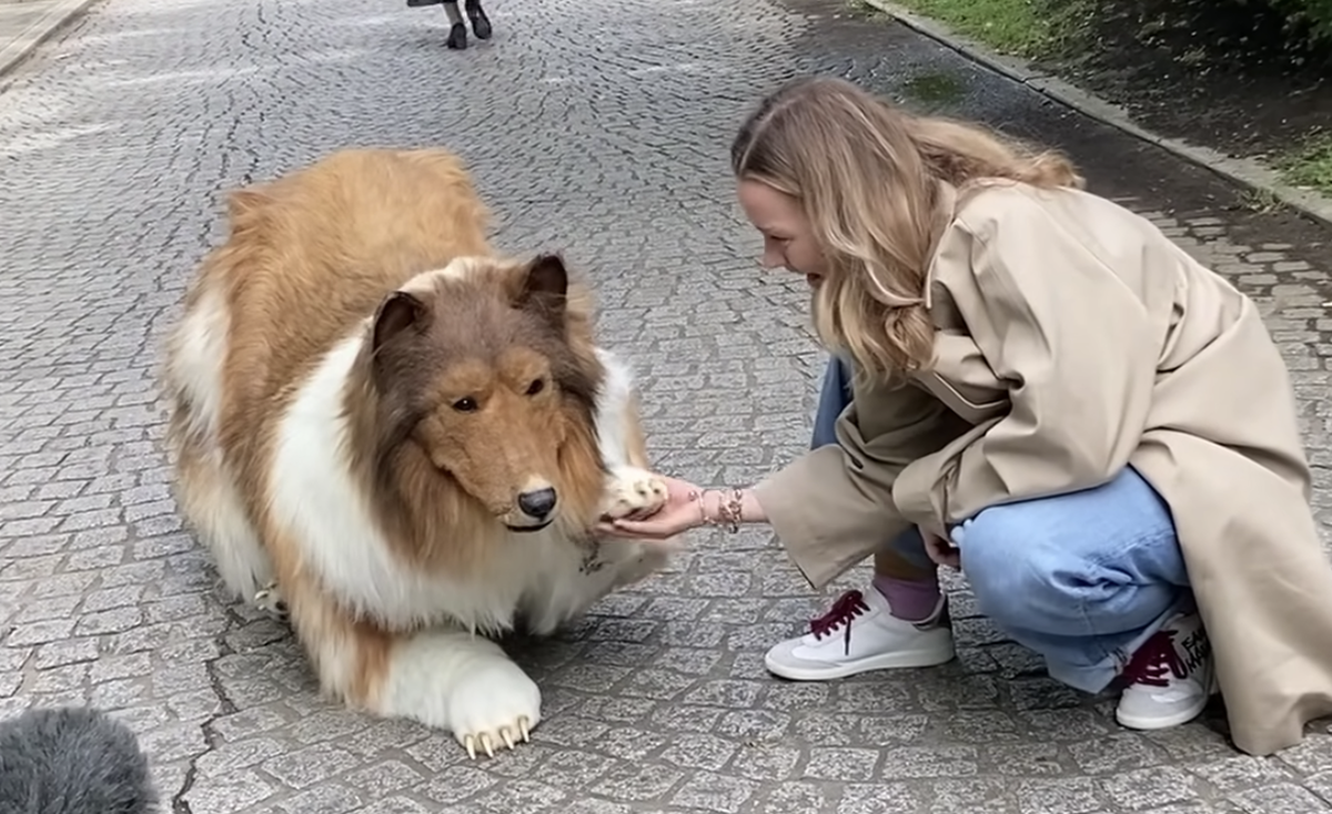 Japanese man spends rm65k to fulfil his dream… as a dog  1